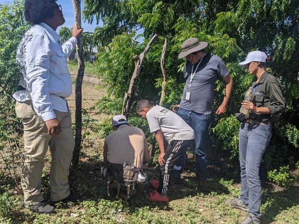 Sigue búsqueda de araña lesionó a obreros de la Línea