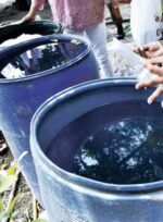 Muertes por dengue suben a 39 y casos ya rondan los 7,000