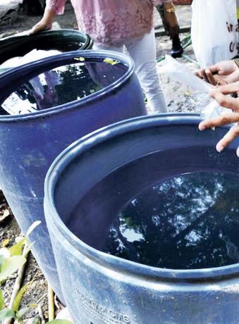 Muertes por dengue suben a 39 y casos ya rondan los 7,000