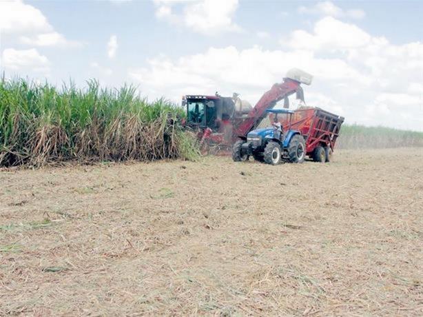 Central Romana dice situación externada por Aduanas de EEUU no refleja prácticas que los caracterizan