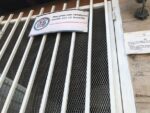 Con consulados cerrados, siguen otorgando visas en Haití