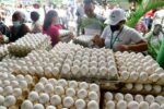 Deploran medida prohíbe huevos sean exportados