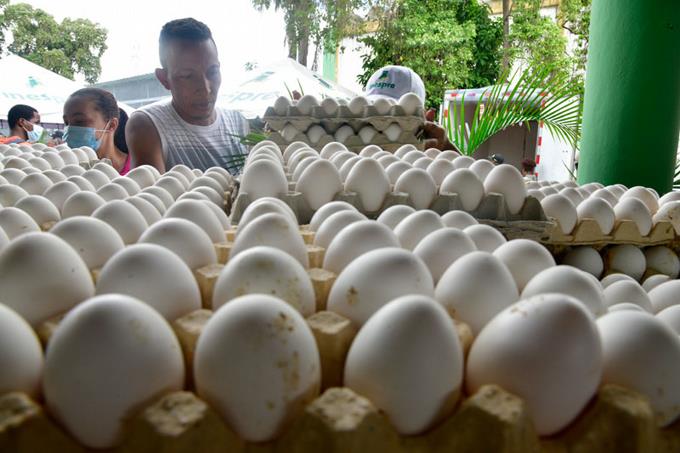 Gobierno levanta traba a exportación de huevos