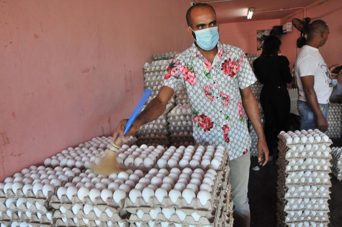 Productores de huevos dicen necesitarán capital