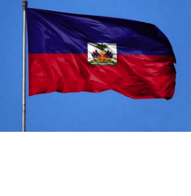 Haití insiste ante la OEA para que le envíe tropas