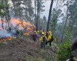 Incendios forestales atacan en distintas zonas del país