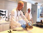 Noruega proyecta aumentar 15 % su exportación de bacalao al país