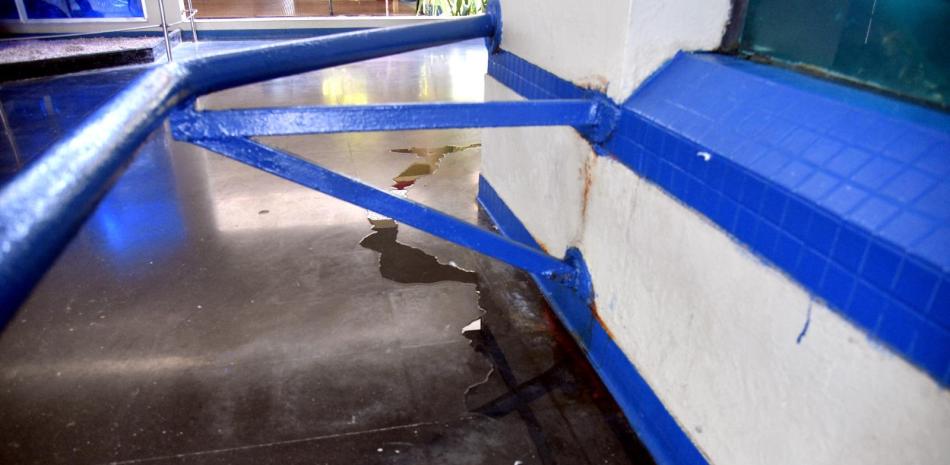 Descuido en el Acuario Nacional Descuido en el Acuario Nacional