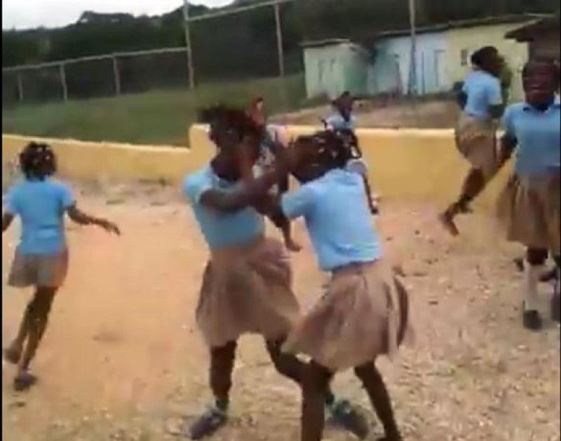 Psicólogos están muy preocupados por la violencia en las escuelas públicas