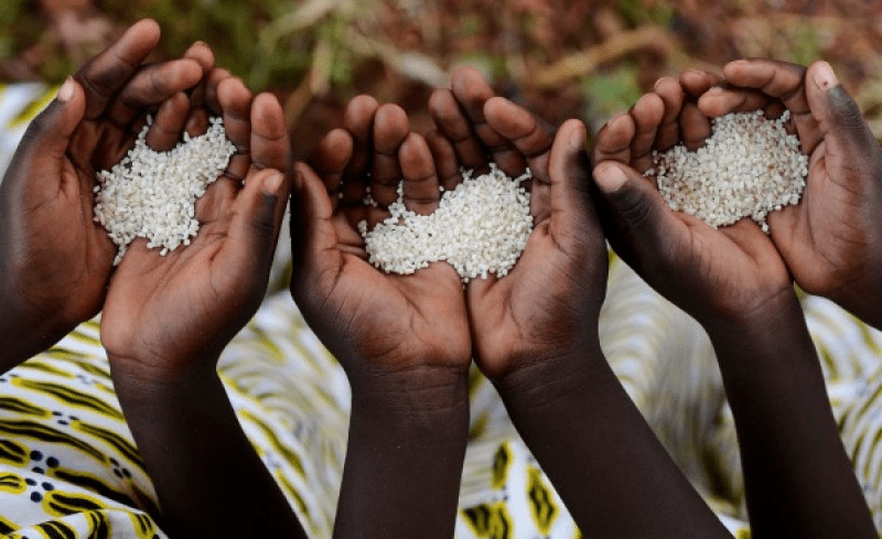 Haití en alerta máxima por hambre, advierte la ONU
