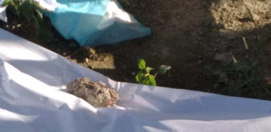Surgen dudas por hallazgo de cuerpos de seis bebés en el cementerio Cristo Salvador