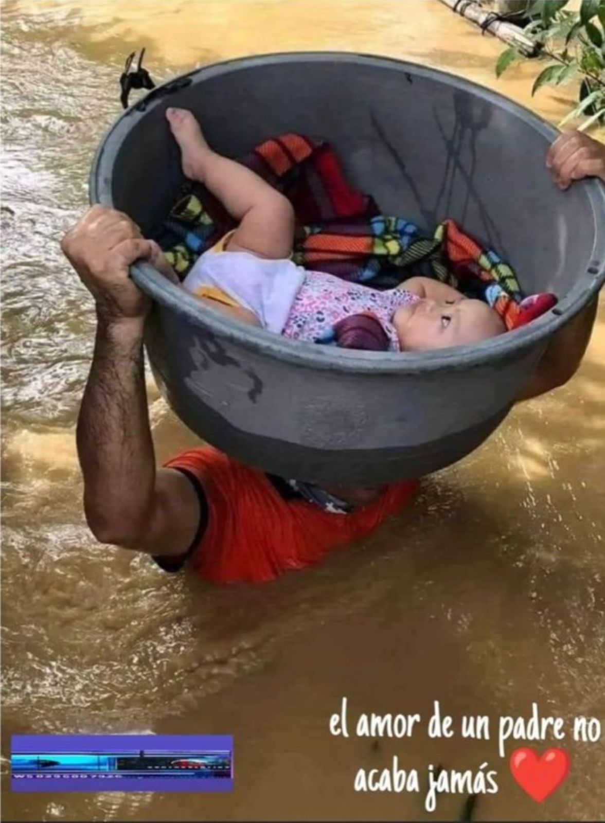 Esta impresionante foto causa tremendo impacto