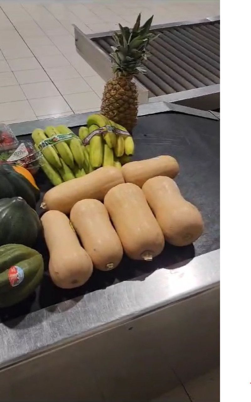 Aeropuerto Punta Cana: Técnicos Cuarentena Vegetal decomisan kilos de frutas y vegetales a un pasajero