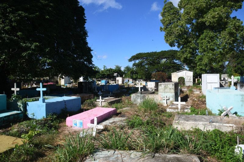 Cunas vacías: el destino de los neonatos abandonados en hospitales