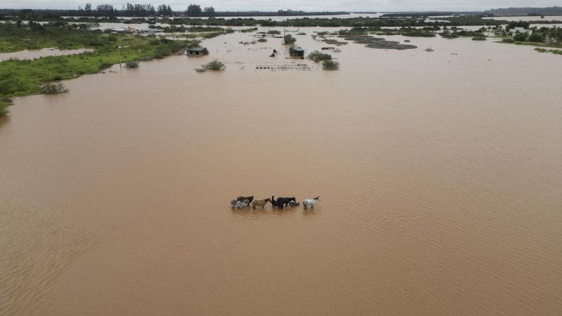 Trasladan a más de mil reos por inundación de una cárcel en el sur de Brasil