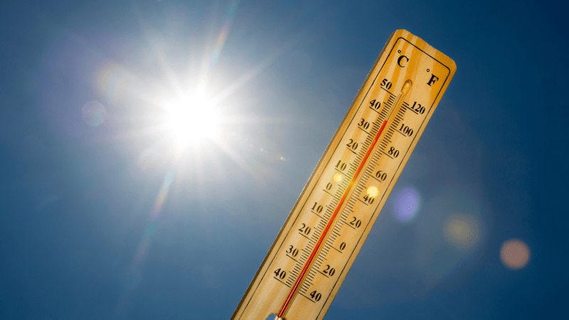 Un martes muy caluroso por presencia de polvo del Sahara