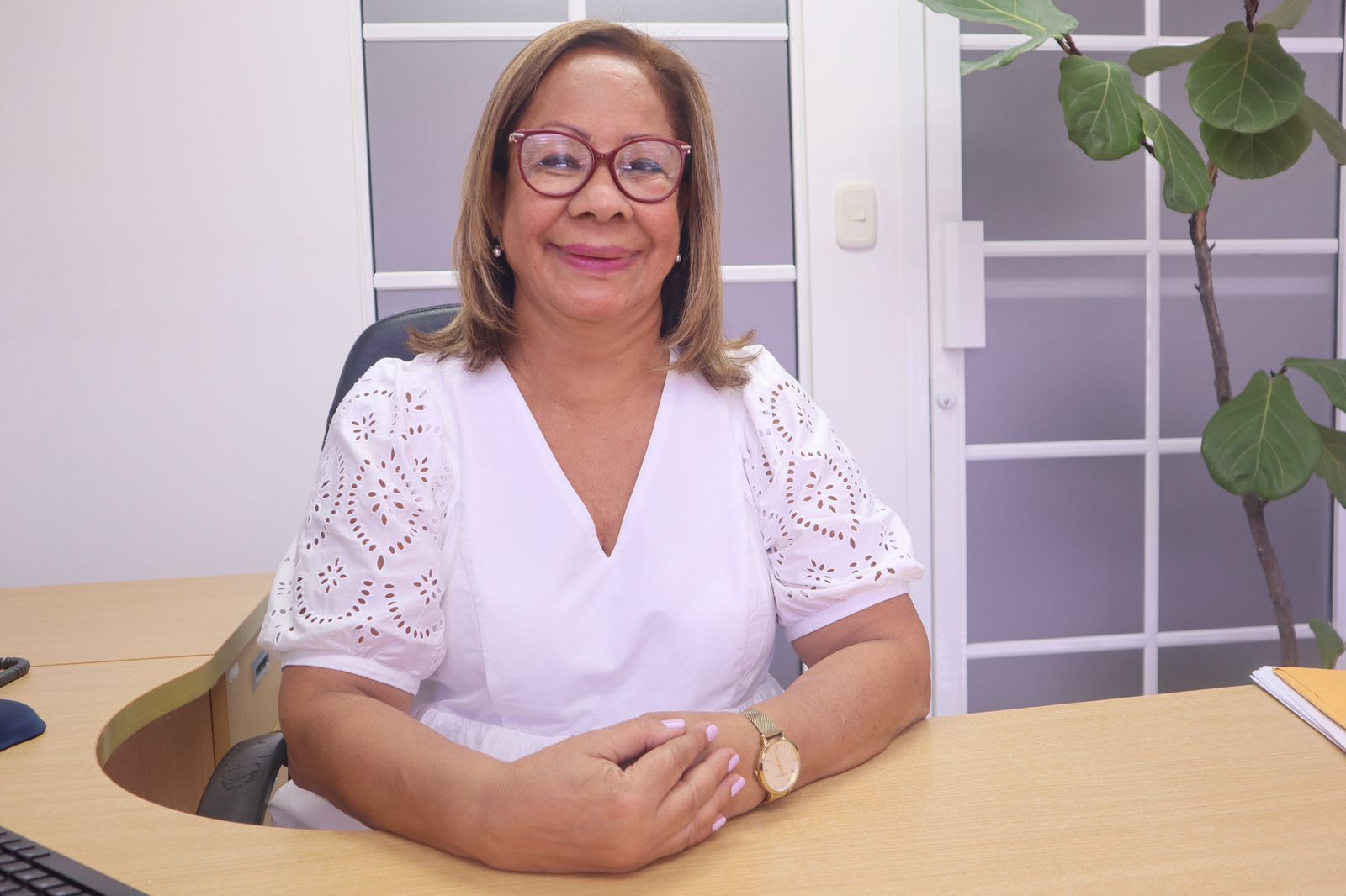 COLEGIO DE ECONOMISTAS ABOGAN POR REVISIÓN DE EXENCIONES FISCALES A GRANDES EMPRESAS