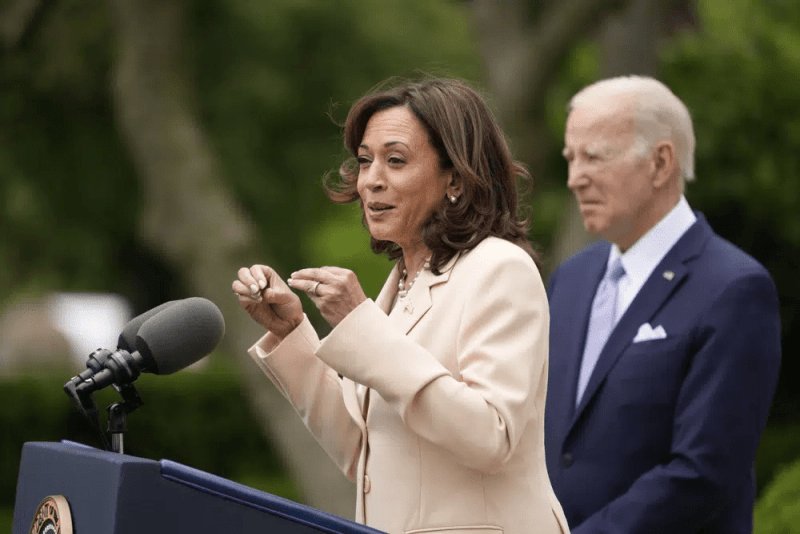Harris intenta acabar con los rumores: “Estoy orgullosa de ser la compañera de Biden”