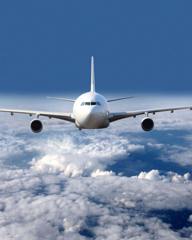 Cuatro aeromozos se declaran culpables de llevar millones de dólares del narco desde EEUU y RD