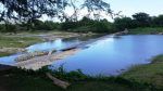 Haitianos sacan pescadores dominicanos del río Bajabonico en Puerto Plata