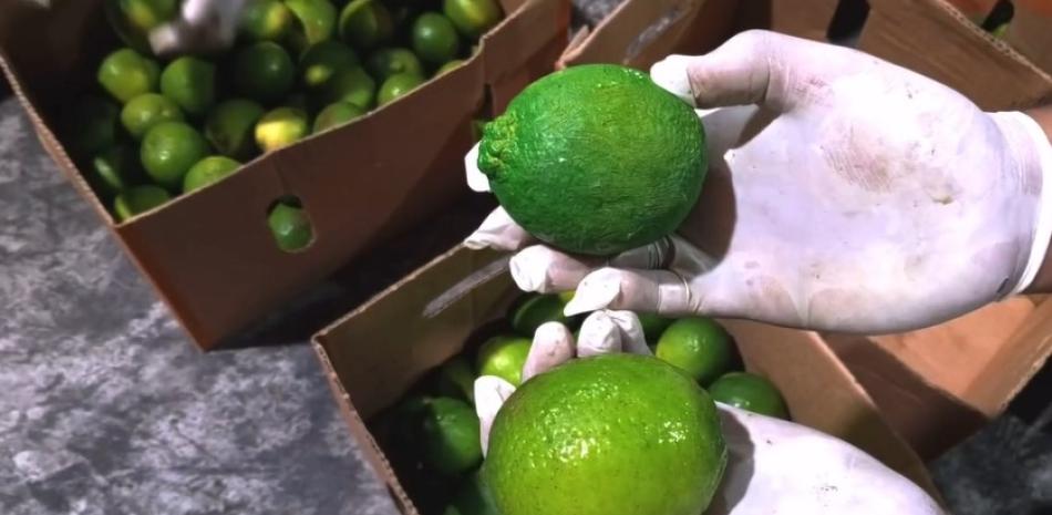 Ocupan 162 limones de cerámica rellenos de cocaína que serían enviados a Bélgica