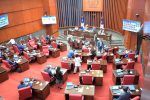 Senado aprueba en primera lectura nuevo Código Penal sin las tres causales