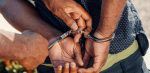 Arrestan a hombre por lanzar un perro desde una torre en Santo Domingo