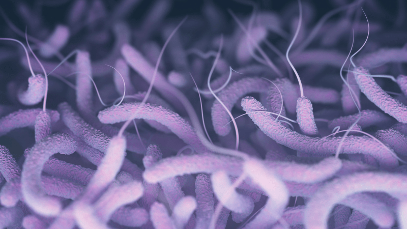 Bacteria carnívora en Florida deja al menos cuatro muertos