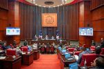 Senado aprueba CP: aborto tiene un eximente, sin exención penal para iglesias y partidos políticos