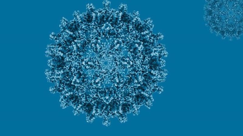 República Dominicana registró 910 casos de hepatitis B y 541 de C en las últimas semanas