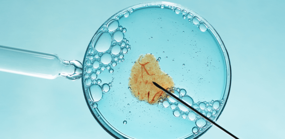 Rompe récord de “más viejo del mundo” el bebé nacido de embrión congelado hace más de 30