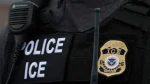 ICE arresta 7 dominicanos en gallera clandestina en Puerto Rico