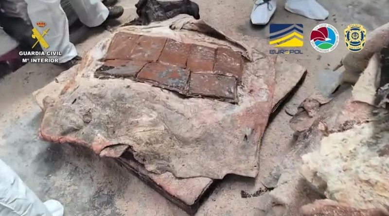 Operación Olimpia: Una organización que transportaba droga en pieles de bovino desde RD a Europa