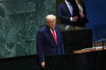 Donald Trump tiene pocos chances el Premio Nobel de la Paz, ¿quién se llevará el premio?