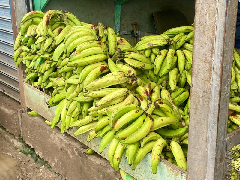 Inflación interanual se situó en 4.81% a noviembre