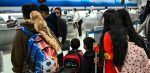 De Miami a Guatemala: el viaje de niños separados de familiares por las deportaciones