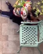 Maestra es acusada de maltratar a menor de cuatro años en centro educativo Mi Segundo Hogar en SDE