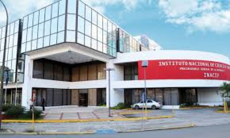 El Inacif quema más de 8 toneladas de drogas en el primer trimestre 2026