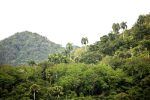Medio Ambiente dice que proyecto minero en San Juan se encuentra en fase de evaluación técnica