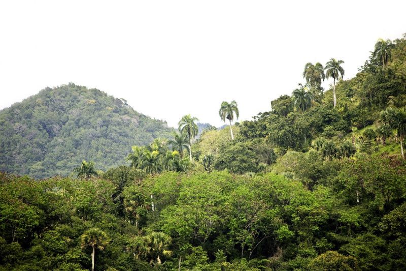 Medio Ambiente dice que proyecto minero en San Juan se encuentra en fase de evaluación técnica