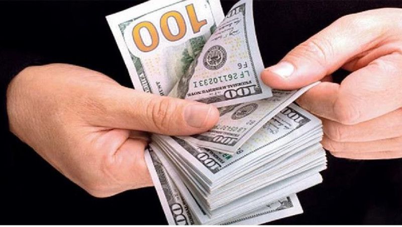 Crédito en moneda extranjera representa el 24% del total con US$10,228.52 millones