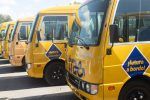 Roban batería de tres autobuses del TRAE en Constanza