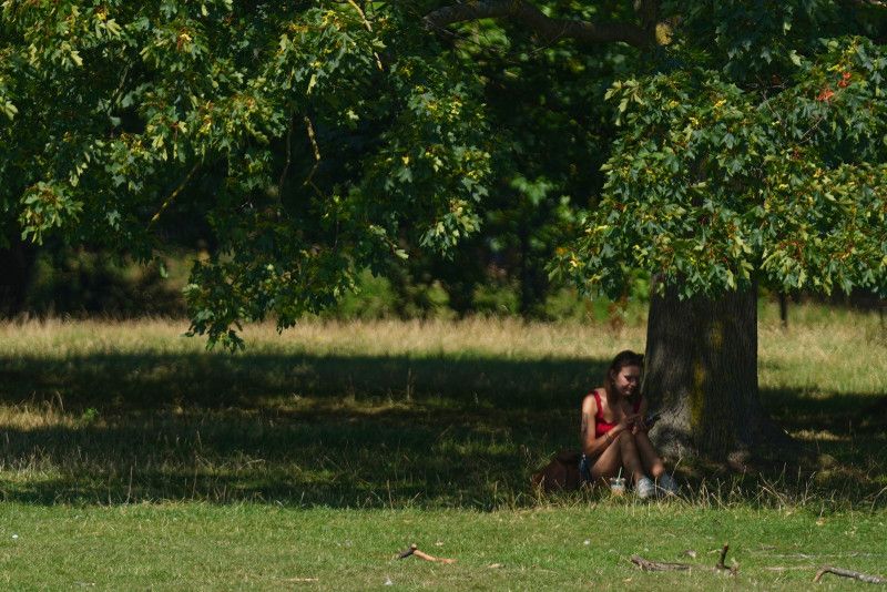Indomet pronostica temperaturas calurosas para este domingo