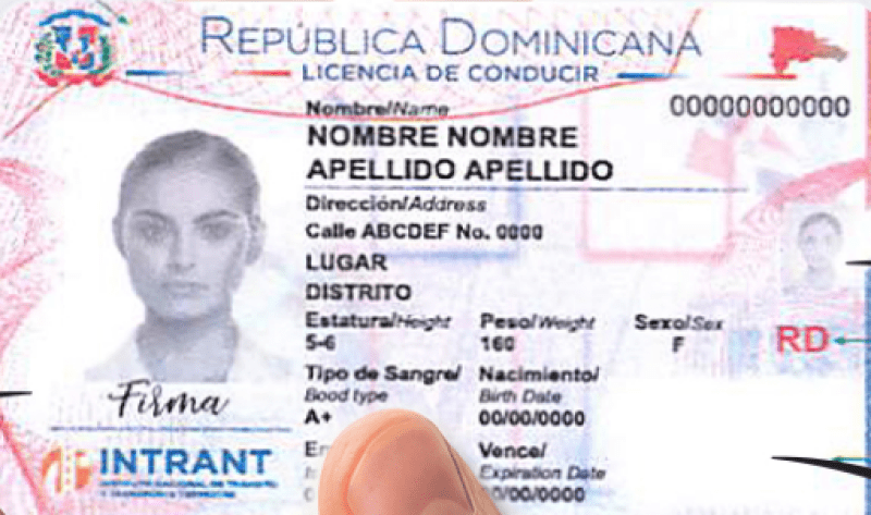 Poder Ejecutivo trabaja decreto para regular obtención de licencias a personas mayores de 65 años