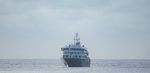 Confirman dos casos de hantavirus y cinco sospechosos en crucero que aún no tiene dónde anclar
