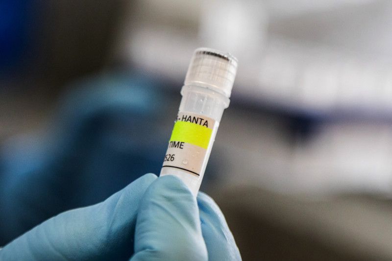 Primer contagio de hantavirus en crucero no pudo haber sido a bordo o en escala, según OMS