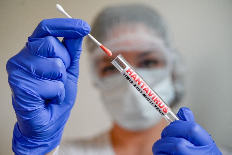 La OMS advierte de que el hantavirus es altamente contagioso al inicio de la enfermedad
