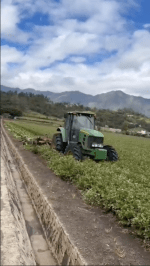 Agricultores de Constanza denuncian crisis en producción agrícola