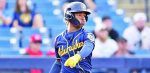 ¿Quién es Jesús Madé, prospecto número 1 de la MLB?