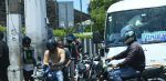Regulaciones de montoconchos: la deuda pendiente que aún evaden las autoridades